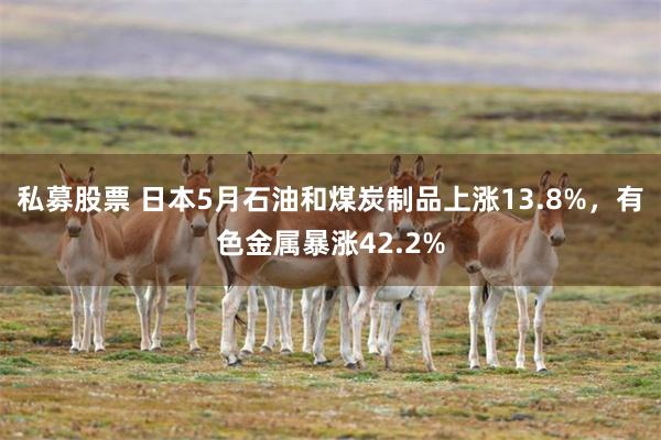 私募股票 日本5月石油和煤炭制品上涨13.8%，有色金属暴涨42.2%