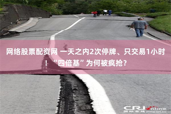 网络股票配资网 一天之内2次停牌、只交易1小时！“四倍基”为何被疯抢？