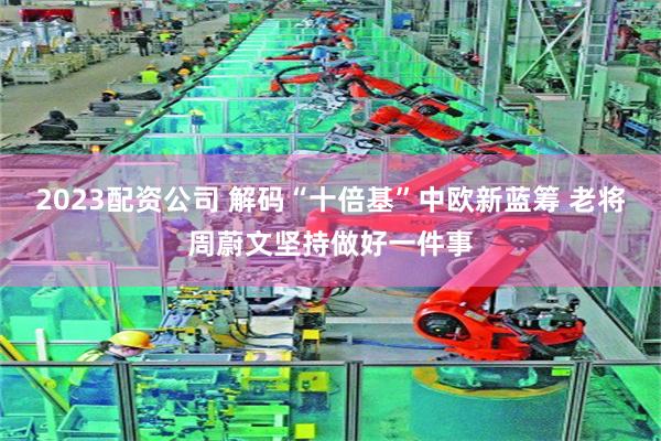 2023配资公司 解码“十倍基”中欧新蓝筹 老将周蔚文坚持做好一件事