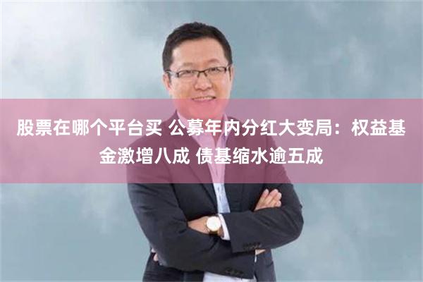 股票在哪个平台买 公募年内分红大变局：权益基金激增八成 债基缩水逾五成