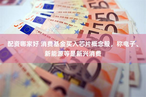 配资哪家好 消费基金买入芯片概念股，称电子、新能源等是新兴消费