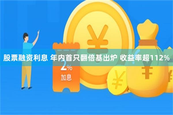 股票融资利息 年内首只翻倍基出炉 收益率超112%