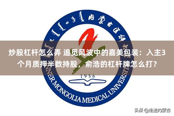 炒股杠杆怎么弄 追觅风波中的嘉美包装：入主3个月质押半数持股，俞浩的杠杆牌怎么打？