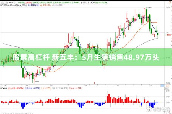股票高杠杆 新五丰：5月生猪销售48.97万头