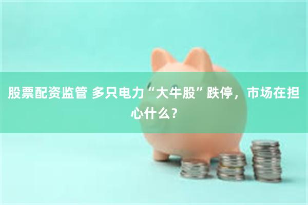 股票配资监管 多只电力“大牛股”跌停，市场在担心什么？