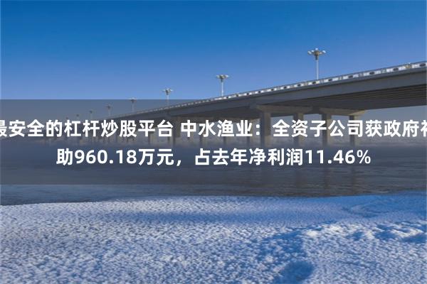最安全的杠杆炒股平台 中水渔业：全资子公司获政府补助960.18万元，占去年净利润11.46%
