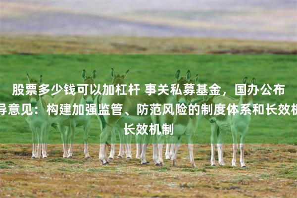 股票多少钱可以加杠杆 事关私募基金，国办公布指导意见：构建加强监管、防范风险的制度体系和长效机制