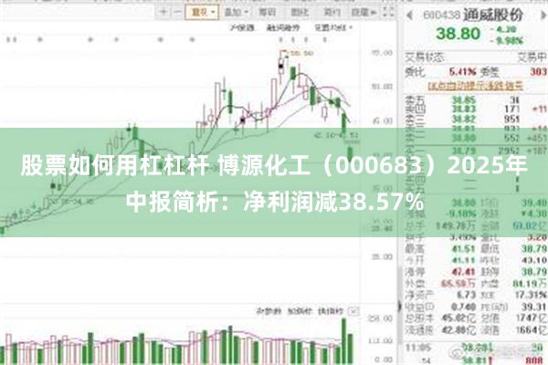 股票如何用杠杠杆 博源化工（000683）2025年中报简析：净利润减38.57%