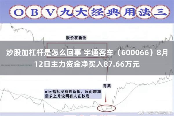 炒股加杠杆是怎么回事 宇通客车（600066）8月12日主力资金净买入87.66万元