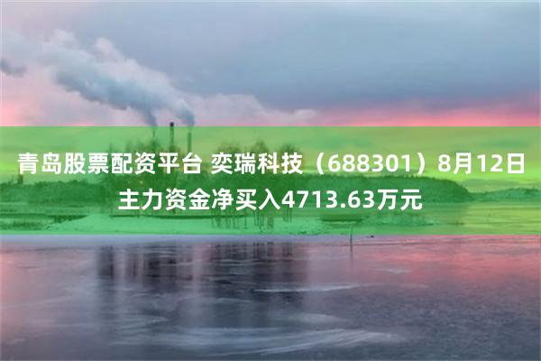 青岛股票配资平台 奕瑞科技(688301)8月12日主力资金净买入4713.63万元