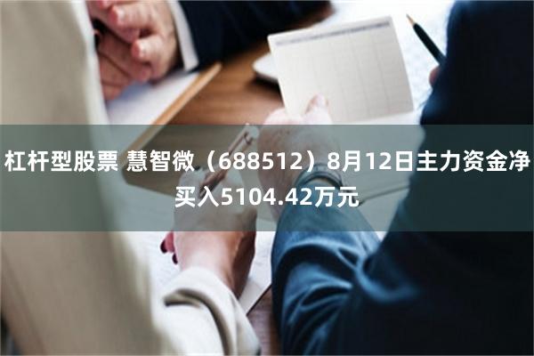 杠杆型股票 慧智微（688512）8月12日主力资金净买入5104.42万元