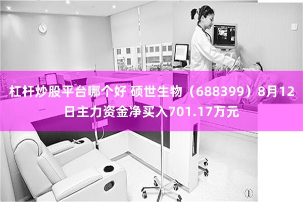 杠杆炒股平台哪个好 硕世生物（688399）8月12日主力资金净买入701.17万元
