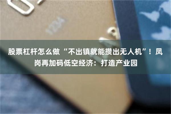 股票杠杆怎么做 “不出镇就能攒出无人机”!凤岗再加码低空经济:打造产业园