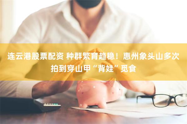 连云港股票配资 种群繁育趋稳！惠州象头山多次拍到穿山甲“背娃”觅食