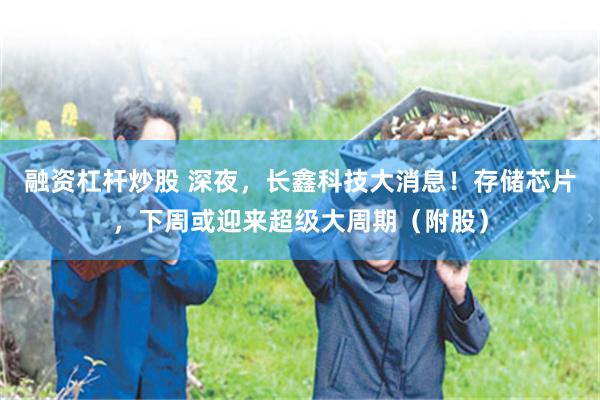 融资杠杆炒股 深夜,长鑫科技大消息!存储芯片,下周或迎来超级大周期(附股)