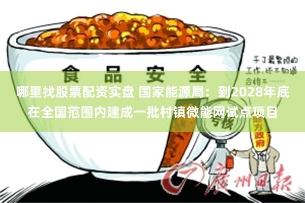 哪里找股票配资实盘 国家能源局：到2028年底在全国范围内建成一批村镇微能网试点项目