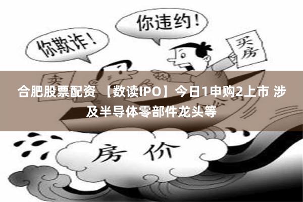 合肥股票配资 【数读IPO】今日1申购2上市 涉及半导体零部件龙头等