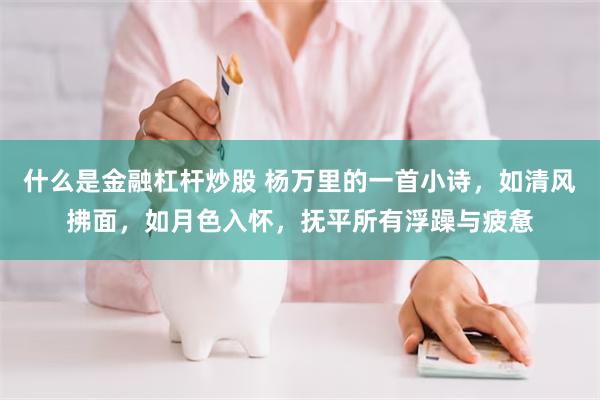 什么是金融杠杆炒股 杨万里的一首小诗，如清风拂面，如月色入怀，抚平所有浮躁与疲惫