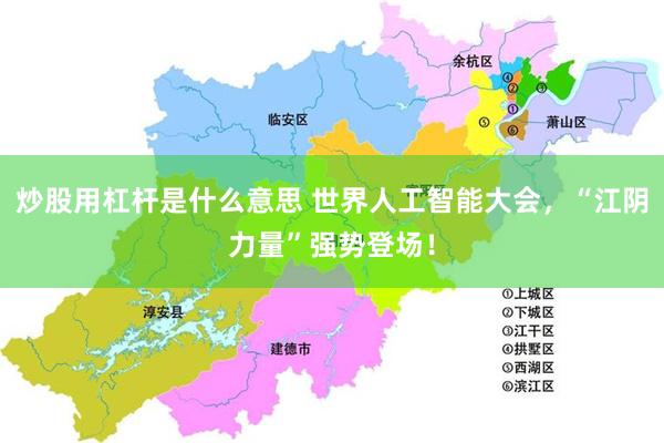 炒股用杠杆是什么意思 世界人工智能大会，“江阴力量”强势登场！