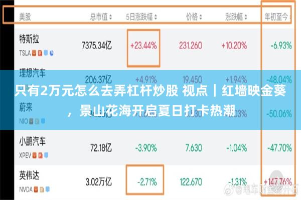 只有2万元怎么去弄杠杆炒股 视点|红墙映金葵,景山花海开启夏日打卡热潮