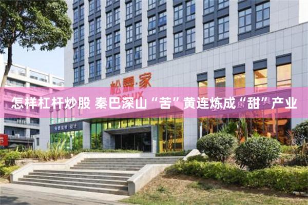 怎样杠杆炒股 秦巴深山“苦”黄连炼成“甜”产业