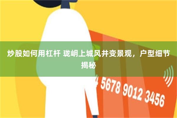 炒股如何用杠杆 珑岄上城风井变景观，户型细节揭秘