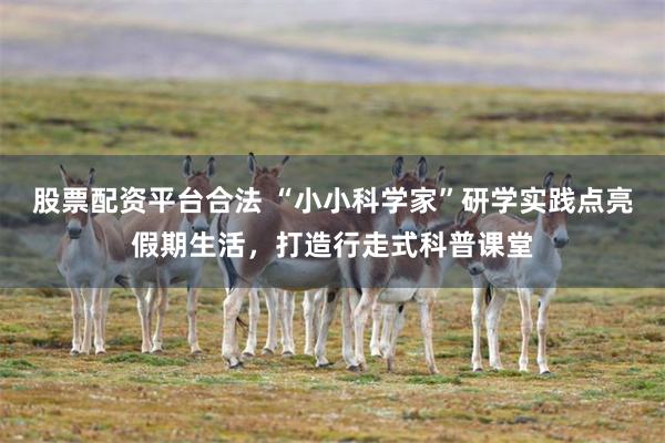 股票配资平台合法 “小小科学家”研学实践点亮假期生活，打造行走式科普课堂