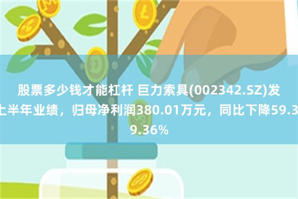 股票多少钱才能杠杆 巨力索具(002342.SZ)发布上半年业绩，归母净利润380.01万元，同比下降59.36%