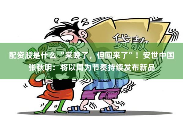 配资股是什么 “来晚了，但回来了”！安世中国张秋明：将以周为节奏持续发布新品