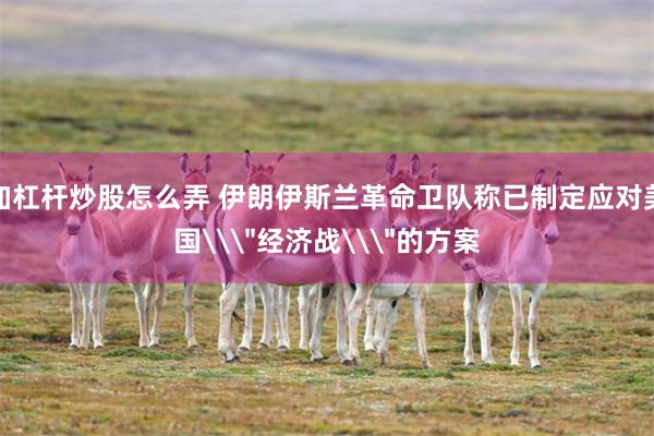 加杠杆炒股怎么弄 伊朗伊斯兰革命卫队称已制定应对美国\