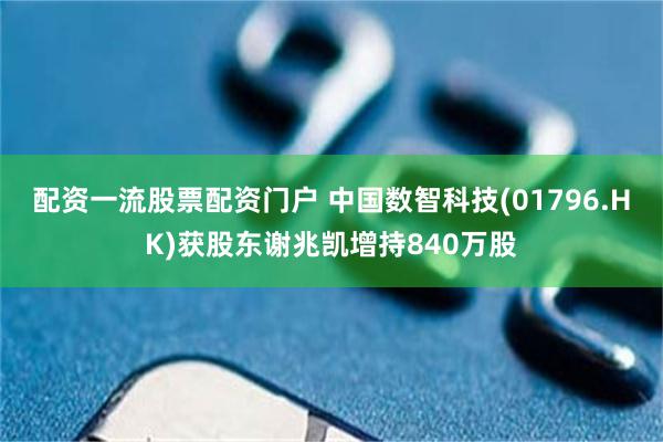 配资一流股票配资门户 中国数智科技(01796.HK)获股东谢兆凯增持840万股