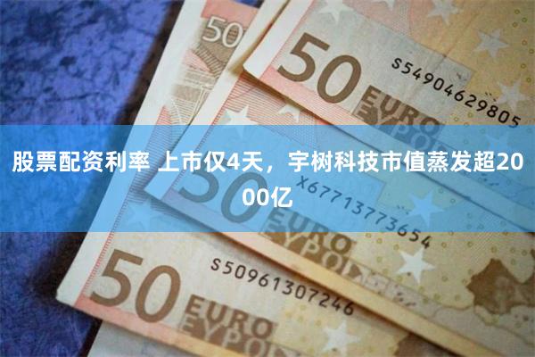 股票配资利率 上市仅4天，宇树科技市值蒸发超2000亿