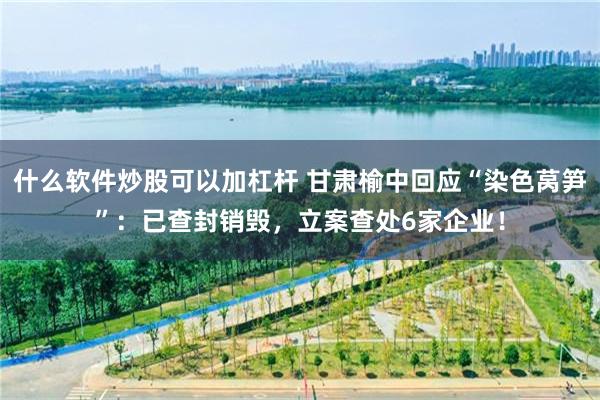 什么软件炒股可以加杠杆 甘肃榆中回应“染色莴笋”：已查封销毁，立案查处6家企业！