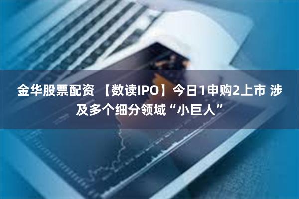 金华股票配资 【数读IPO】今日1申购2上市 涉及多个细分领域“小巨人”
