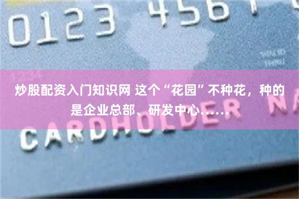 炒股配资入门知识网 这个“花园”不种花，种的是企业总部、研发中心……