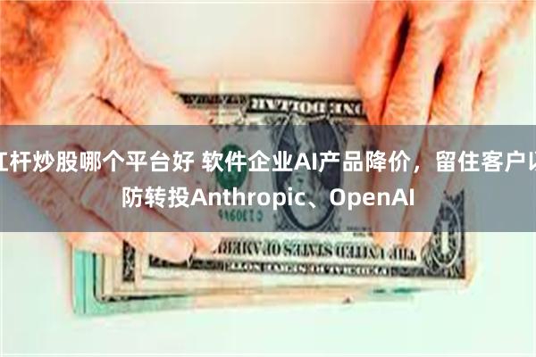 杠杆炒股哪个平台好 软件企业AI产品降价，留住客户以防转投Anthropic、OpenAI