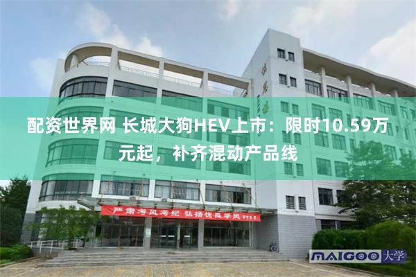配资世界网 长城大狗HEV上市:限时10.59万元起,补齐混动产品线
