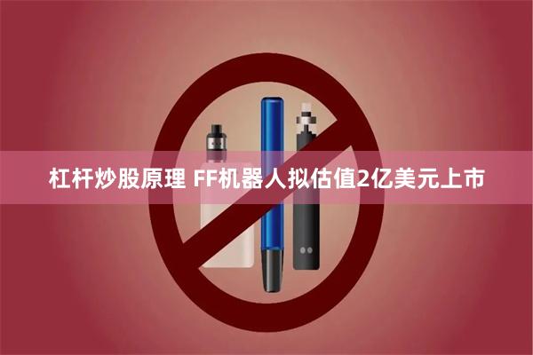 杠杆炒股原理 FF机器人拟估值2亿美元上市