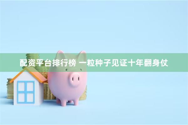 配资平台排行榜 一粒种子见证十年翻身仗