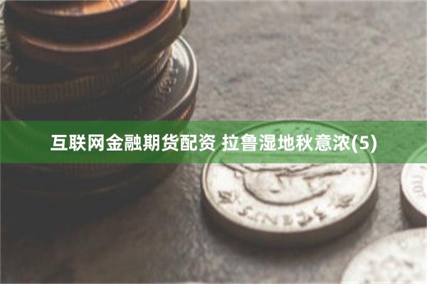 互联网金融期货配资 拉鲁湿地秋意浓(5)