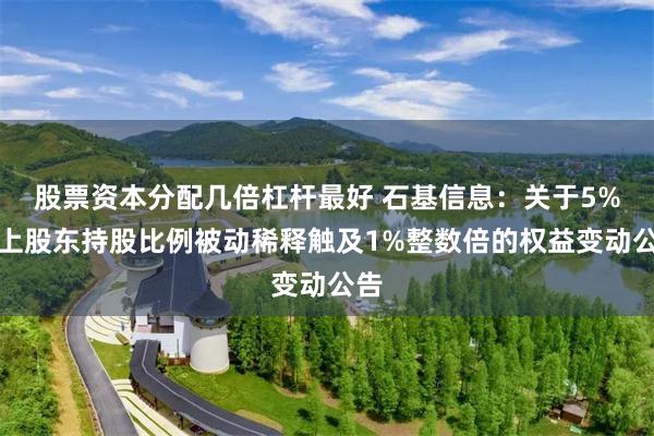 股票资本分配几倍杠杆最好 石基信息：关于5%以上股东持股比例被动稀释触及1%整数倍的权益变动公告