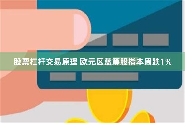 股票杠杆交易原理 欧元区蓝筹股指本周跌1%