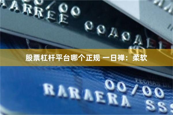 股票杠杆平台哪个正规 一日禅：柔软