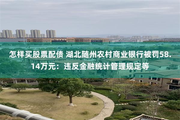 怎样买股票配债 湖北随州农村商业银行被罚58.14万元：违反金融统计管理规定等